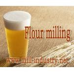 How to flour milling storage ?